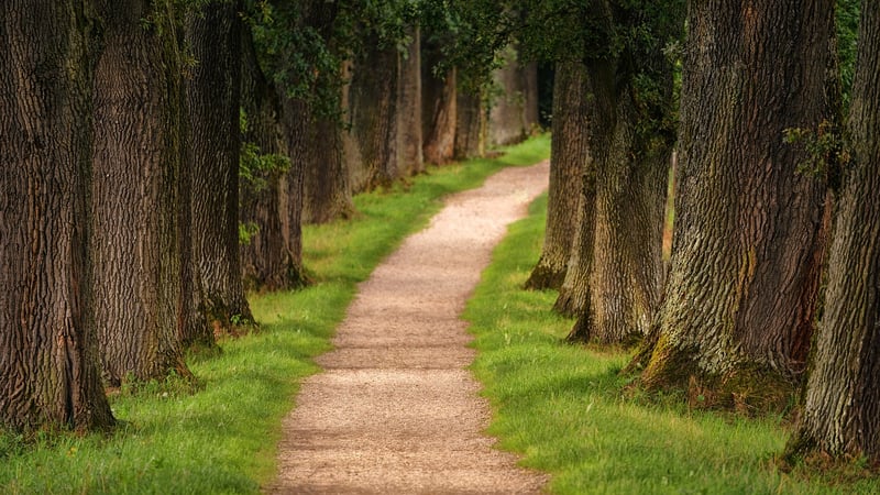 Certification Paths